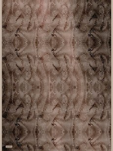 Foulard en Soie Armine Sura Printemps-Été 2021 - 8554D 09 - marron