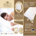 Oreiller climatisé İpekçe Home Welsoft