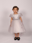 Robe de soirée dentelle Monita - gris
