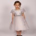 Robe de soirée dentelle Monita - gris