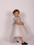 Robe de soirée dentelle Monita - gris