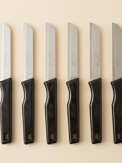 Lot de 6 Couteaux de Cuisine Dentelés Solingen - Noir