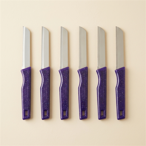 Lot de 6 Couteaux d'Office Solingen Dentelés - Manche Violet Pailleté