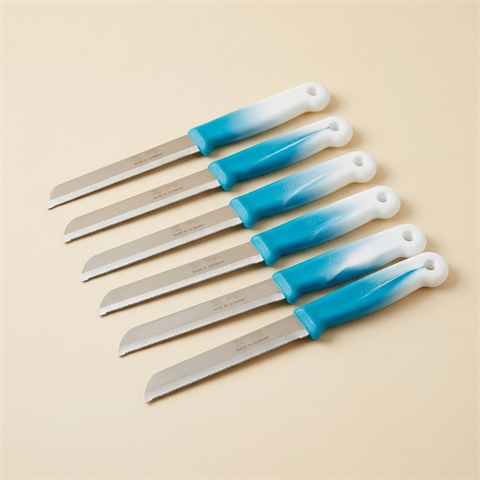 Lot de 6 Couteaux de Cuisine Dentelés Solingen - Bleu et Blanc