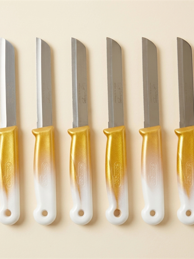Lot de 6 couteaux de cuisine Solingen à lame dentelée - Blanc et doré