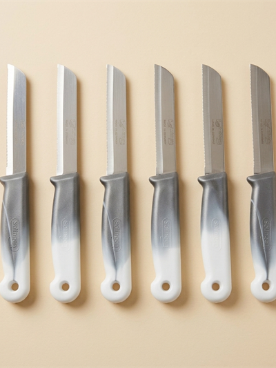 Lot de 6 Couteaux de Cuisine Solingen Dentelés