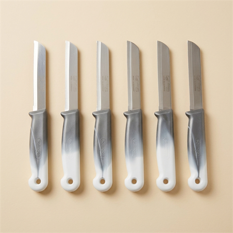 Lot de 6 Couteaux de Cuisine Solingen Dentelés