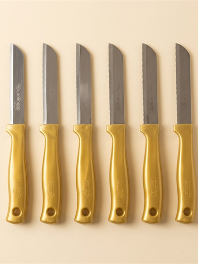 Lot de 6 Couteaux de Cuisine Crantés Solingen - Doré