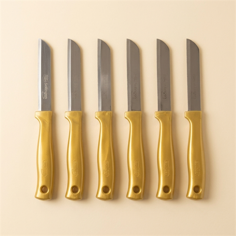Lot de 6 Couteaux de Cuisine Crantés Solingen - Doré