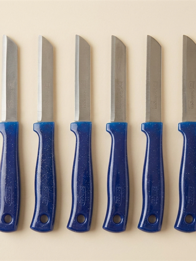 Lot de 6 couteaux d'office Solingen à lame dentée bleu pailleté