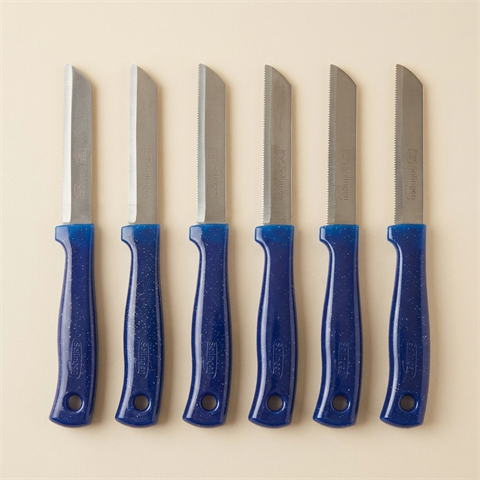 Lot de 6 couteaux d'office Solingen à lame dentée bleu pailleté
