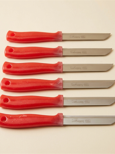 Lot de 6 Couteaux de Cuisine Solingen à Lame Dentée - Rouge