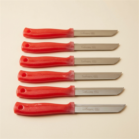 Lot de 6 Couteaux de Cuisine Solingen à Lame Dentée - Rouge