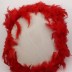 Tambourin à plume pour mariage - rouge