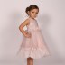 Robe de soirée à strass Roselya - rose pâle 