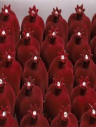 Boite de cadeau mariage velours henné  30 pièces  - bordeaux