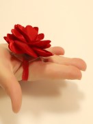 Rose accessoires pour la main / henné l'unité 