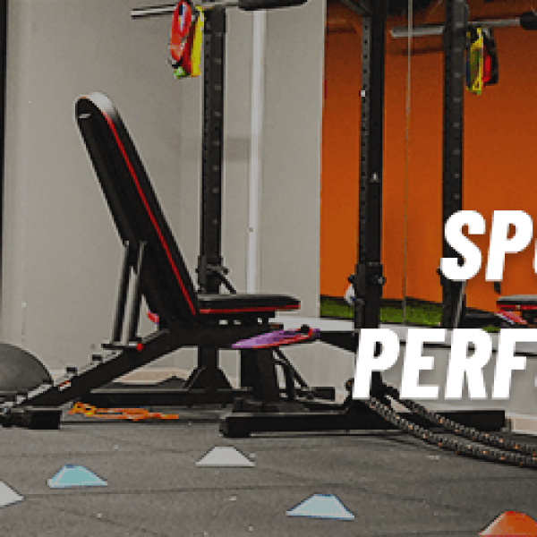 Sportif Perfonmans