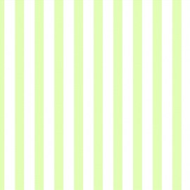 DuKa Duvar Kağıdı Rose Line (16,2816 m2- Elyaf Tabanlı)