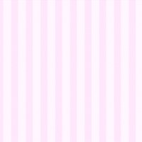 DuKa Duvar Kağıdı Rose Line (16,2816 m2- Elyaf Tabanlı)